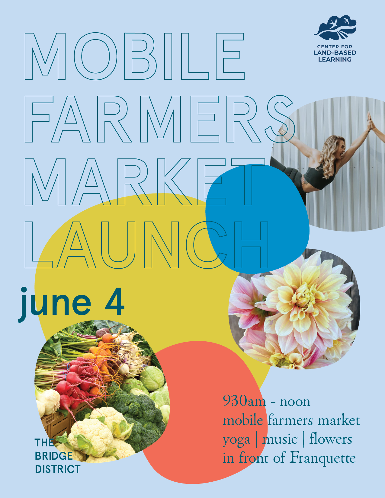 Mobile Market Launch